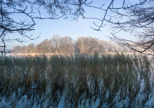 Natur erleben und mit der Kamera festhalten