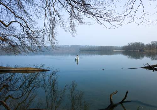 Der Pinnower See ein Natur-Kleinod 
